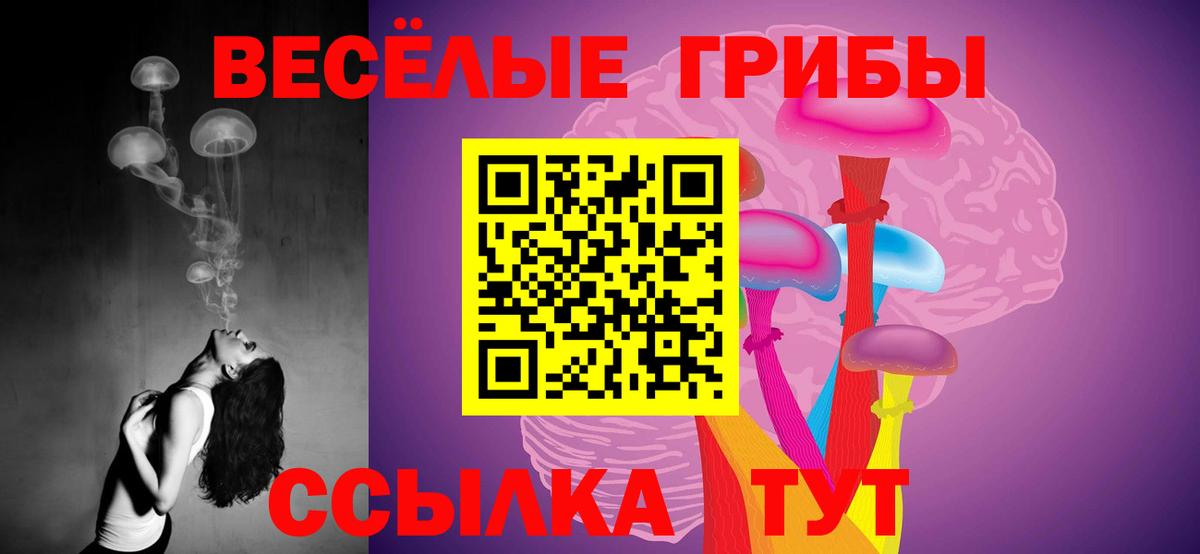 Галлюциногенные грибы MAGIC MUSHROOMS Солнечногорск